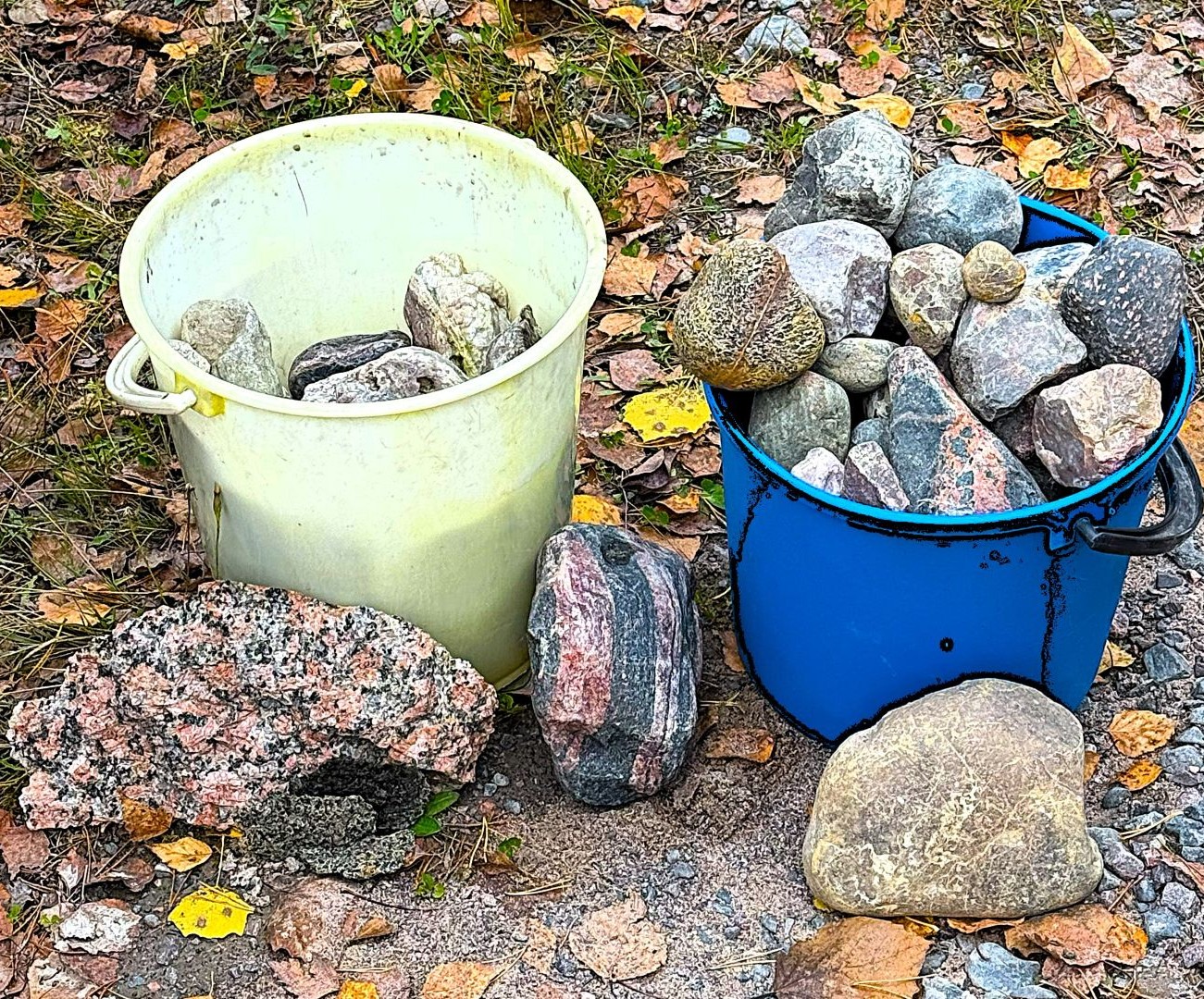 Saalis Danja ja Senja