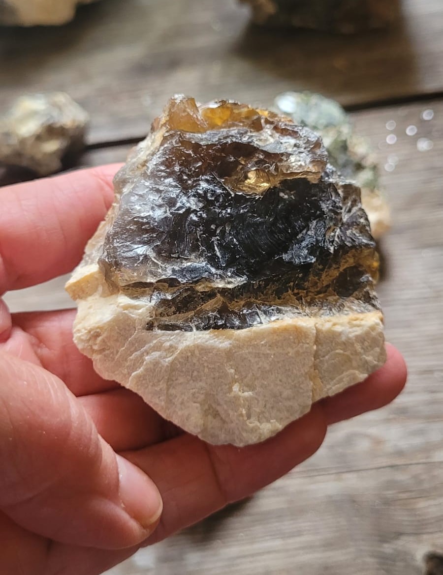 Savukvartsia