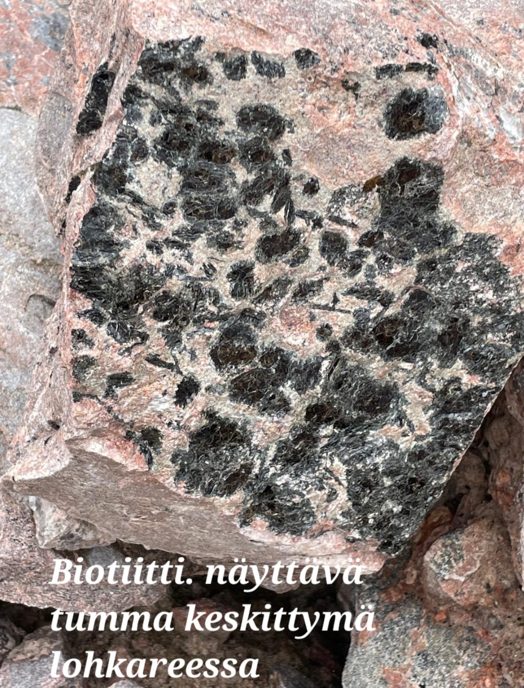 Biotiitti