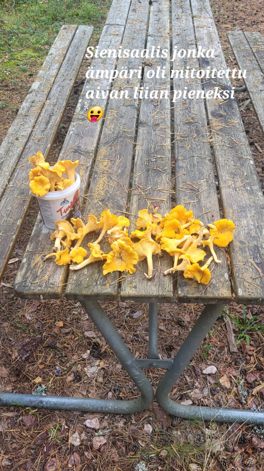 Eräs Kanttarellisaalis