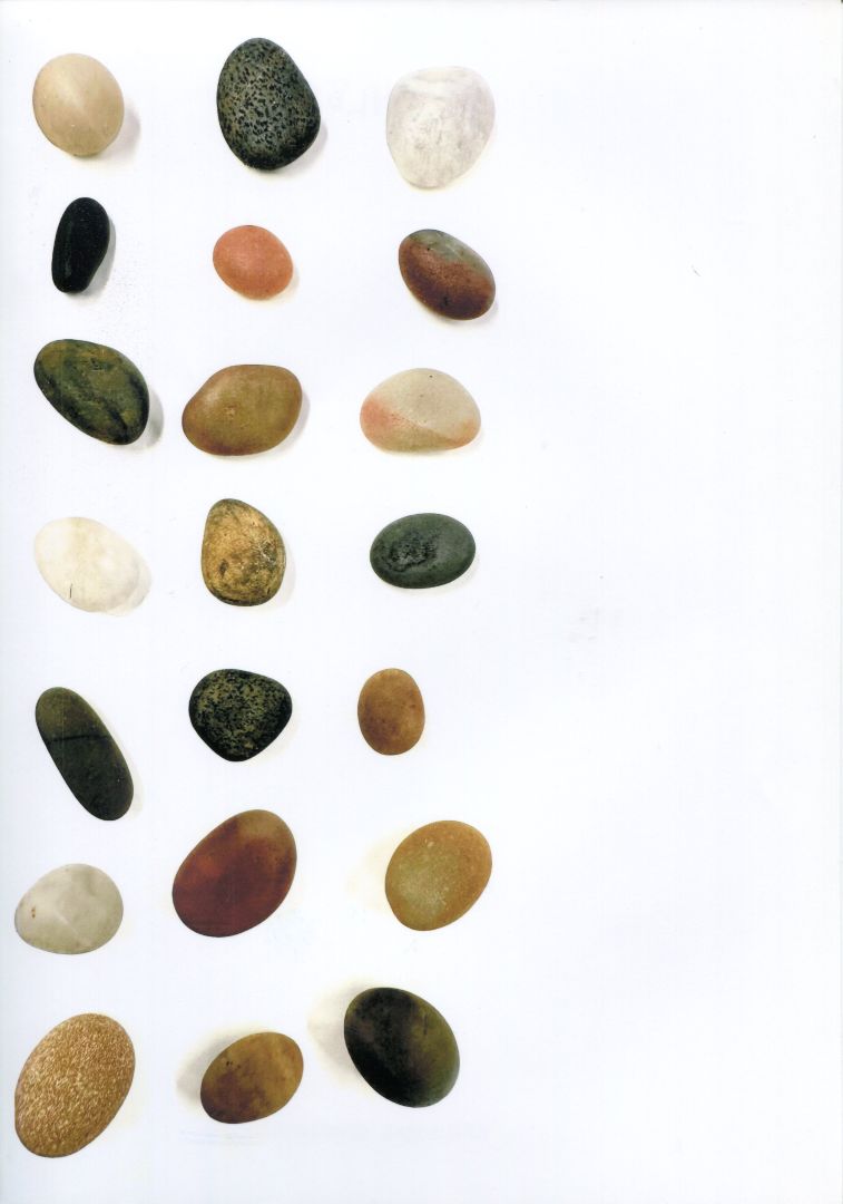 "Erilaisuus erottaa massasta"