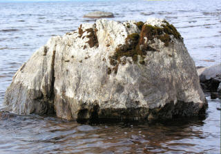Sammalkivi