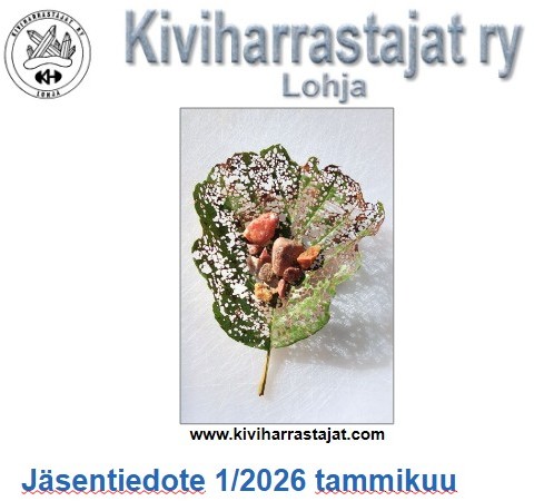 Tiedote 1/2026